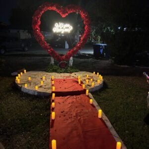 Marry Me  - Quieres ser mi Novia Propuesta